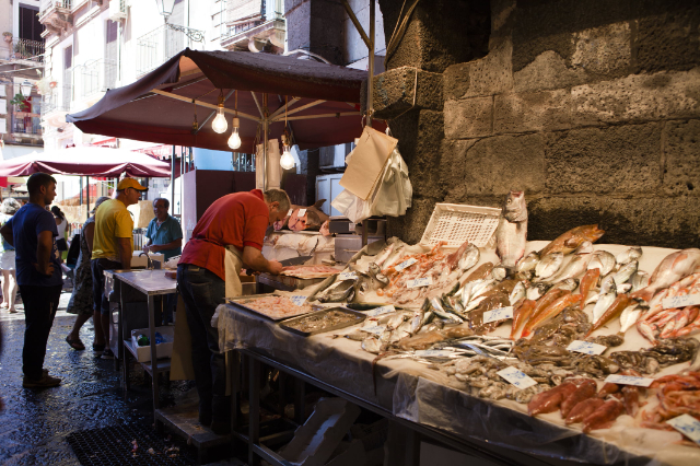 The Fish Market — Catania