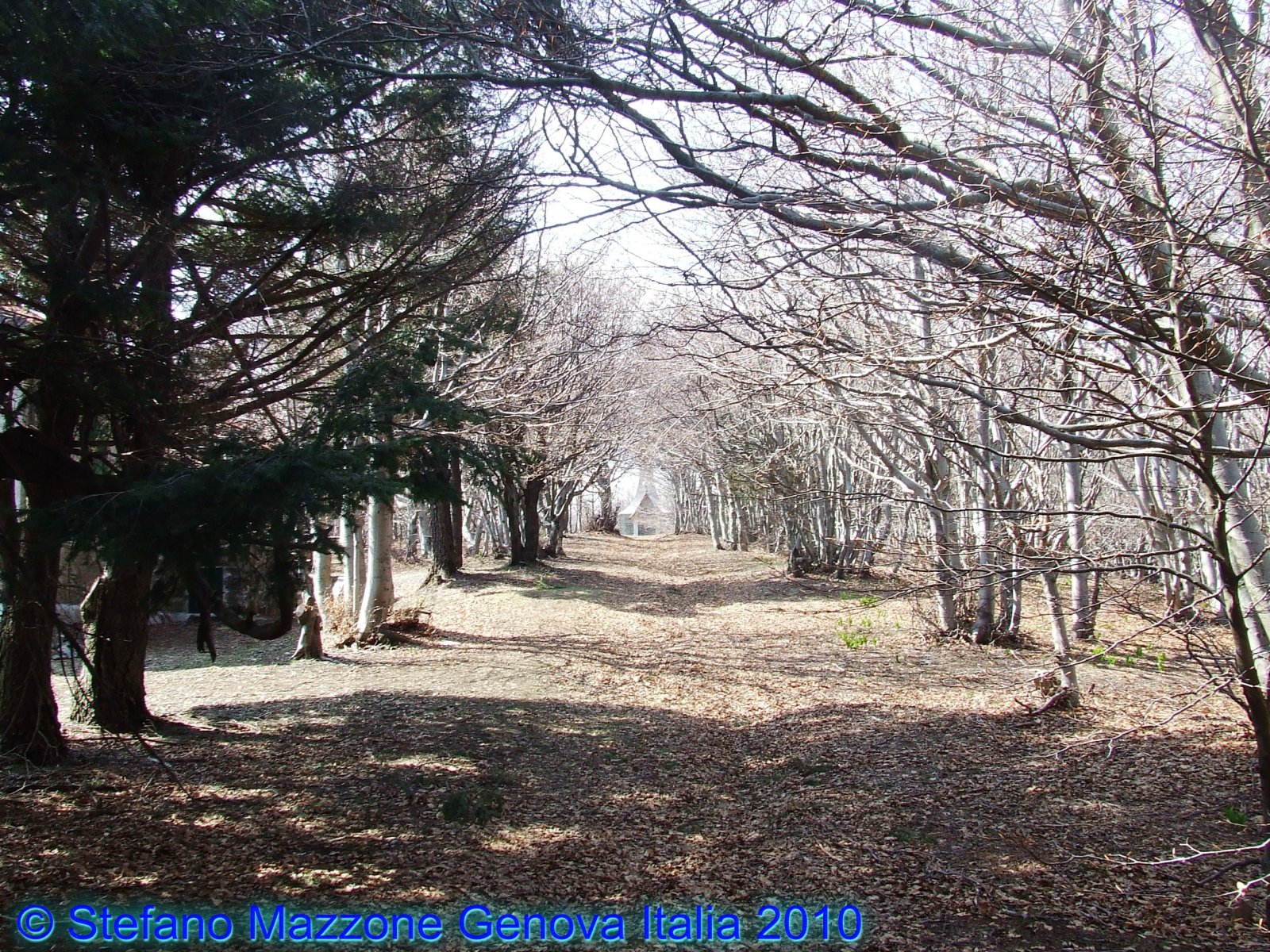Peverina di Voltri - Varazze | Secret World Trip Planner