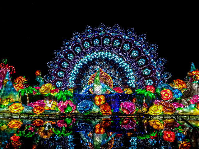 Blask ogrodu w Dubaju - Dubai | Secret World Trip Planner
