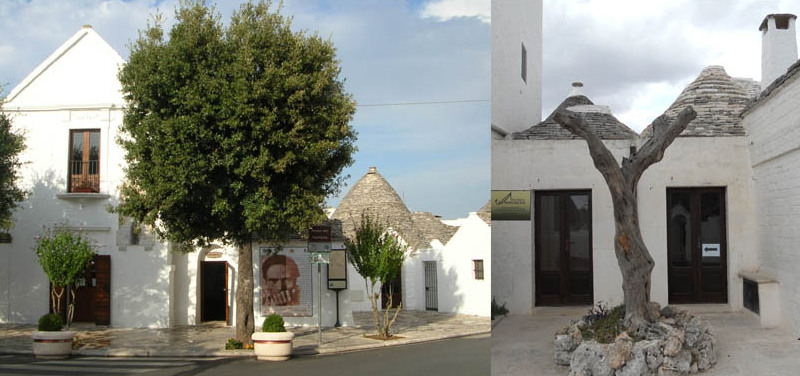 Ölmuseum Alberobello — Tuili