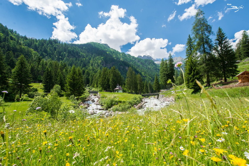 Trentino: Val Genova, the valley of waterfalls - Val Genova | Secret World Trip Planner