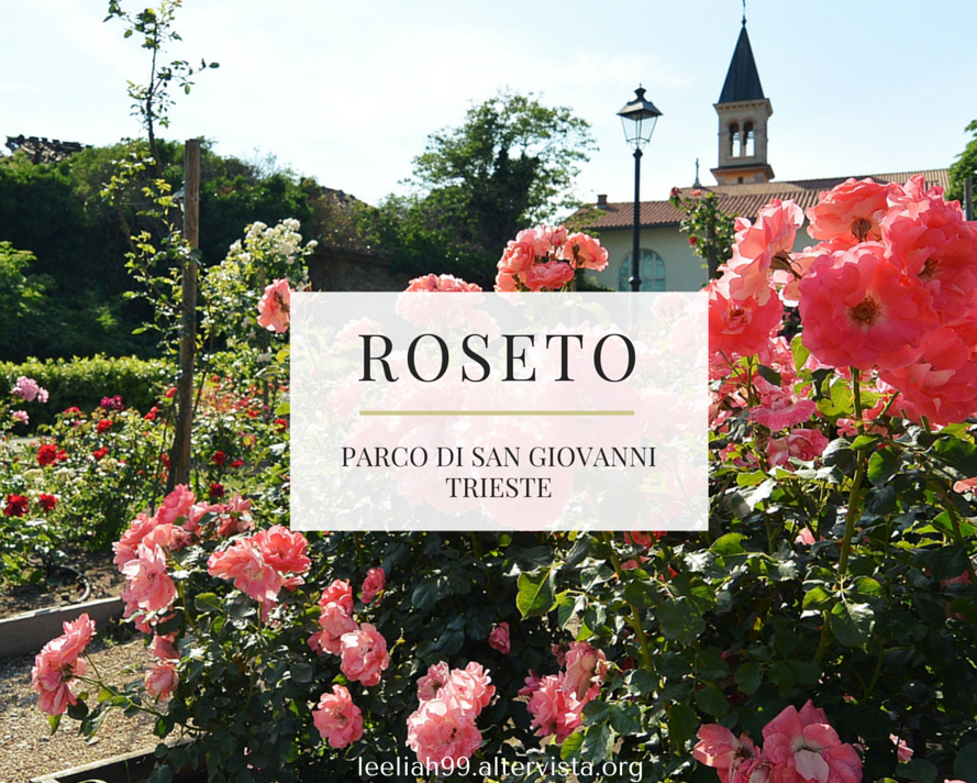 The beautiful roses of San Giovanni Park — Trieste