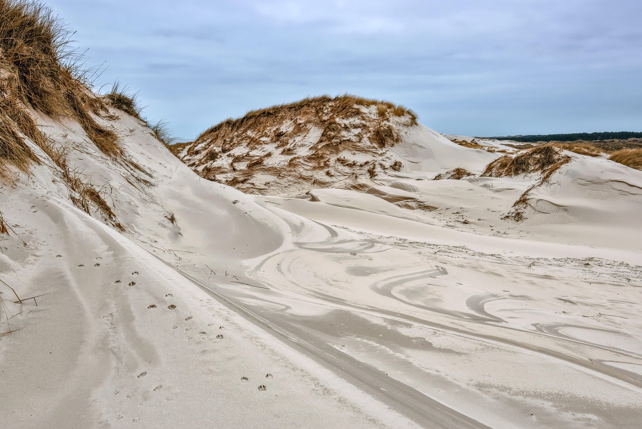 Menorca’s S’Albufera Nature Reserve - 07701 | Secret World Trip Planner