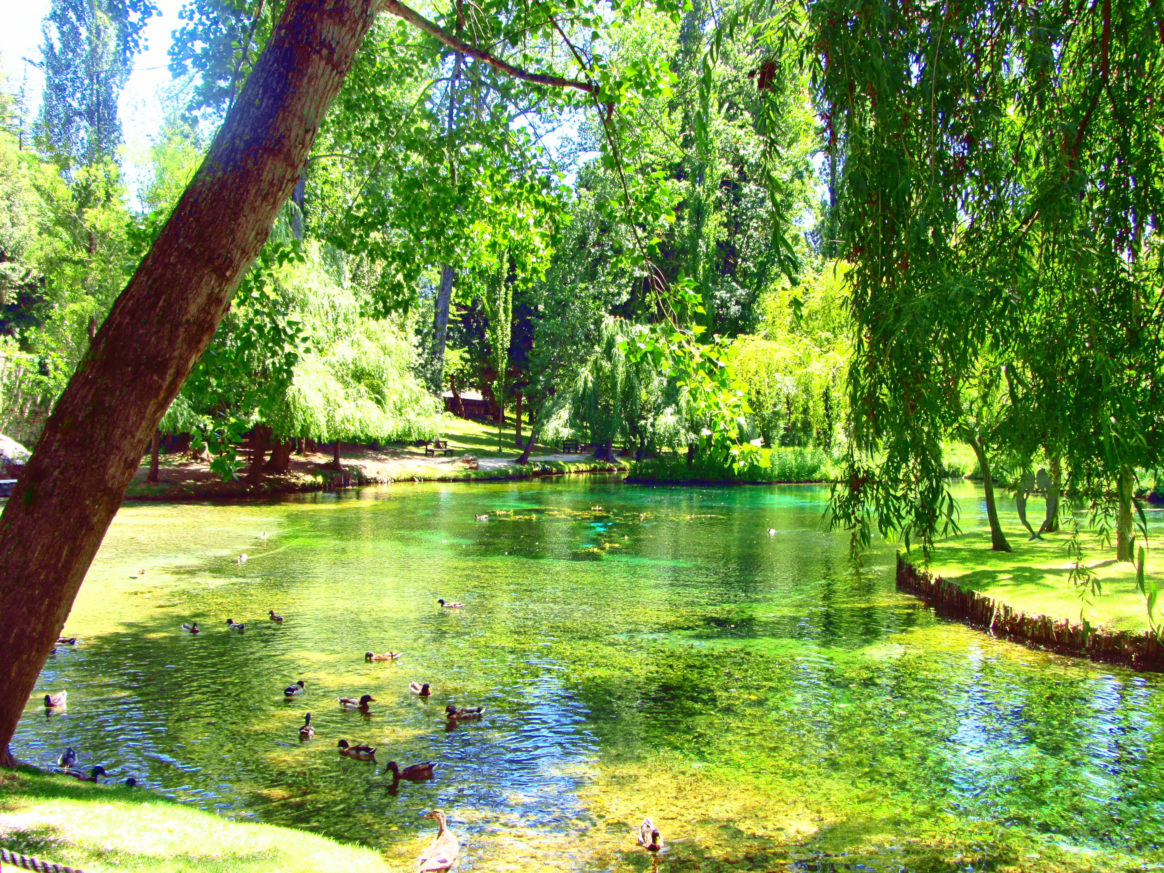 Viri Clitumna - Campello Sul Clitunno | Secret World Trip Planner
