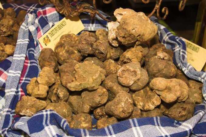 Truffles in Ferrarese - Sant'Agostino | Secret World Trip Planner
