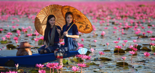 Red Lotus Lake — ตำบล แชแล