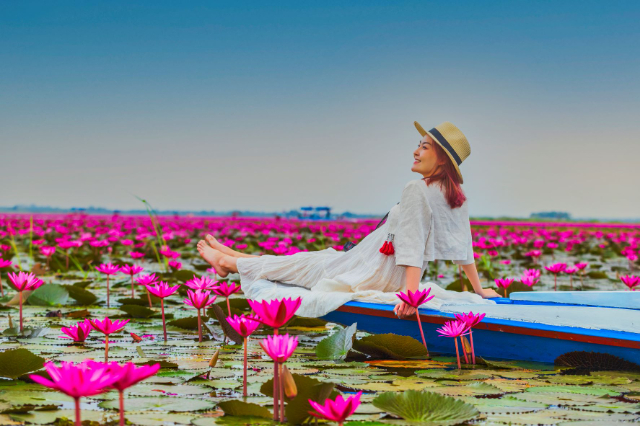 Red Lotus Lake - ตำบล แชแล | Secret World Trip Planner