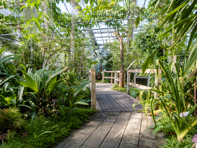 Nationales Botanisches Konservatorium von Brest — Brest