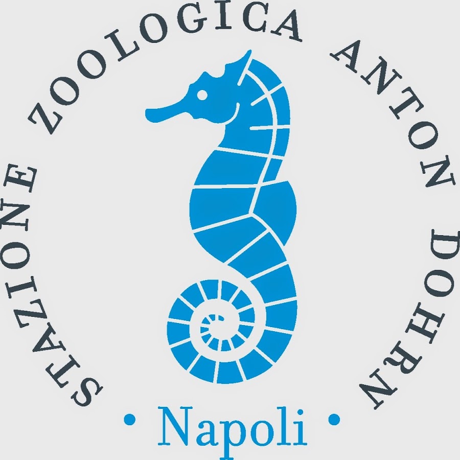 ნეაპოლის ანტონ დორნის ზოოლოგიური სადგური - Napoli | Secret World Trip Planner