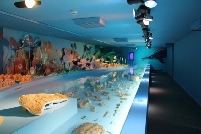 Il Museo JURASSICA - Porrentruy | Secret World Trip Planner