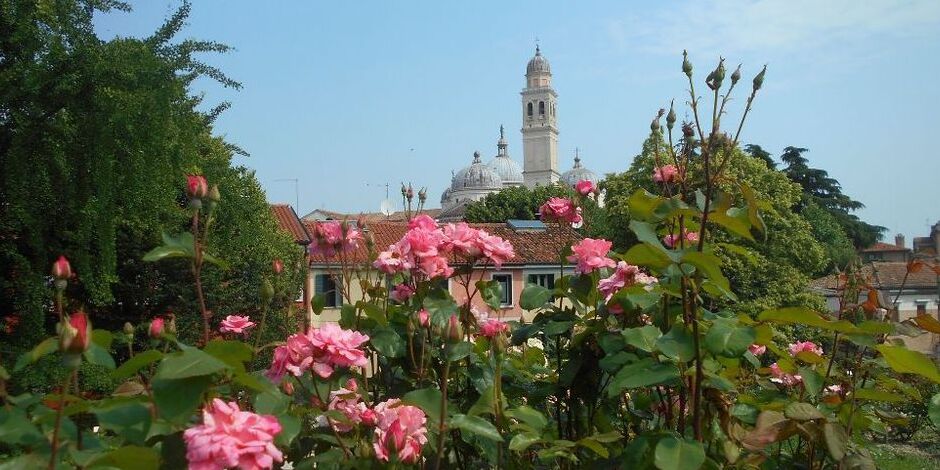 Padua and the Rose Garden of Santa Giustina - Padova | Secret World Trip Planner