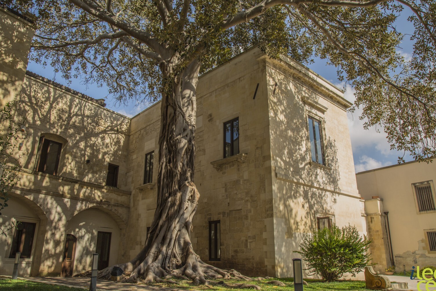 Lecce and the giant ficus - Lecce | Secret World Trip Planner