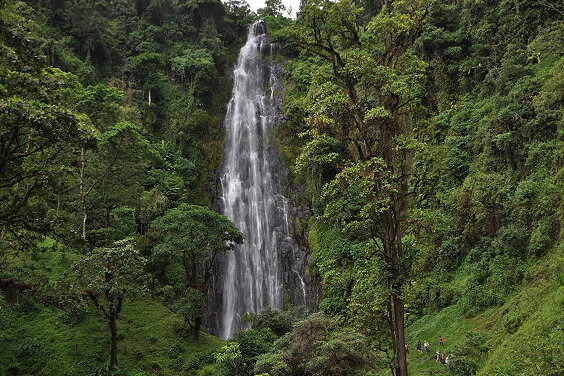 The  high Waterfall Materuni on Kilimanjaro
