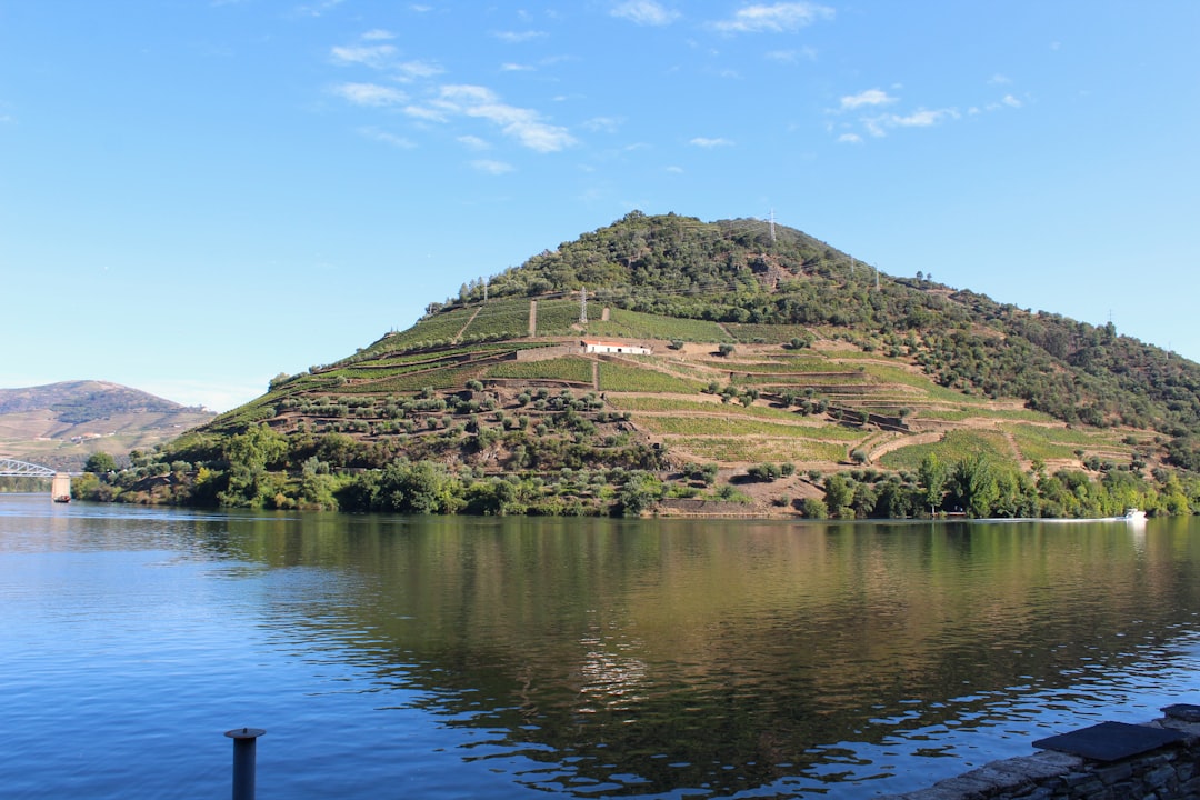 Alto Douro Vinhateiro - Vila Real | Secret World Trip Planner