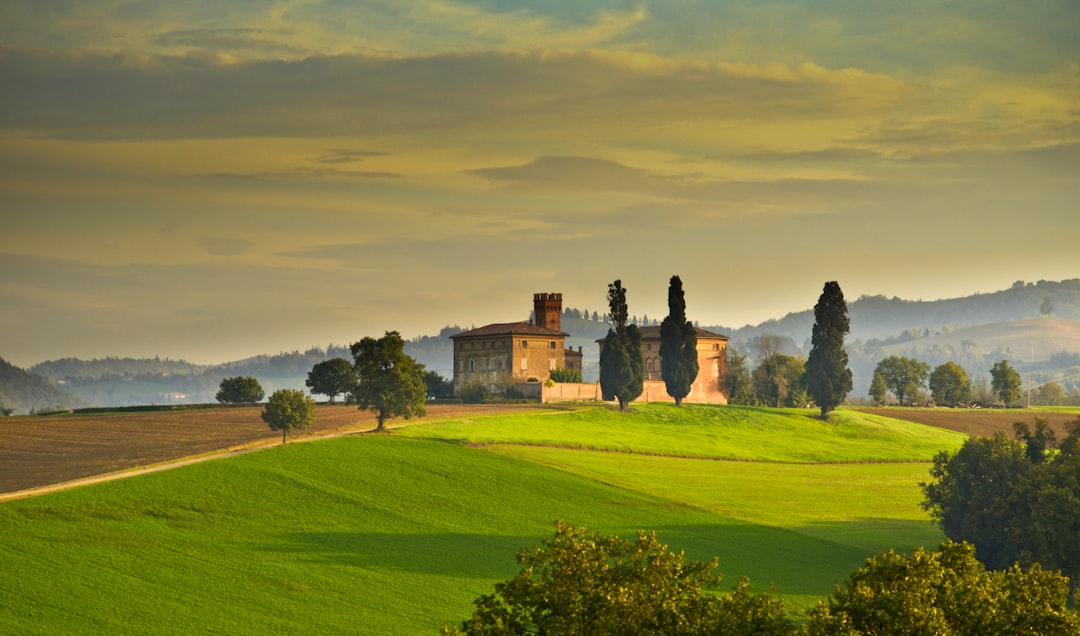 Passatelli in broth, a classic of Emilia-Romagna - Emilia-Romagna | Secret World Trip Planner