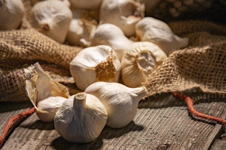 Garlic of Voghiera DOP - Voghiera | Secret World Trip Planner