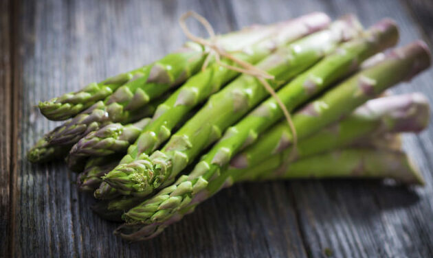 The Green Asparagus of Altedo - Mesola | Secret World Trip Planner
