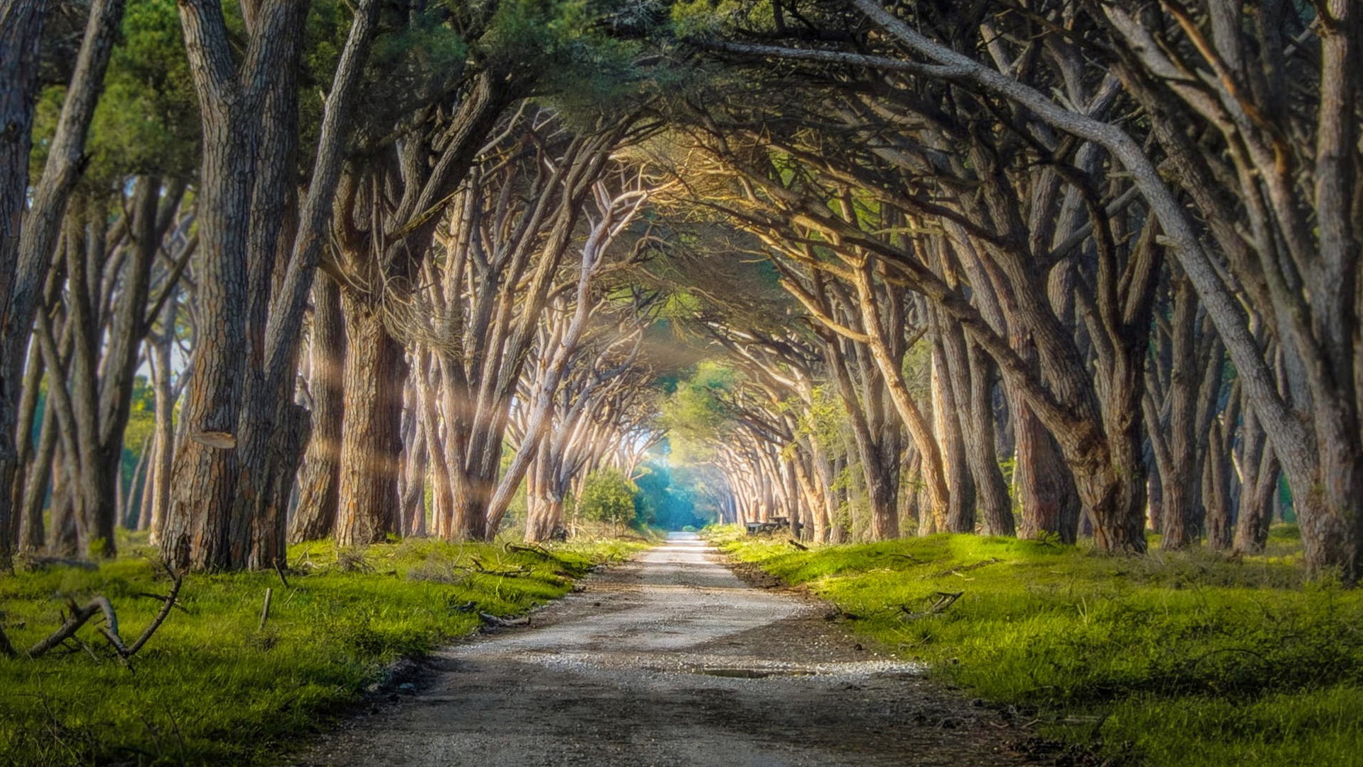 Natural Park of San Rossore - Provincia di Pisa | Secret World Trip Planner