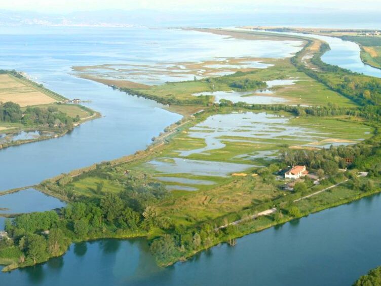 Birdwatching: Isonzo Mouth Reserve - Staranzano | Secret World Trip Planner