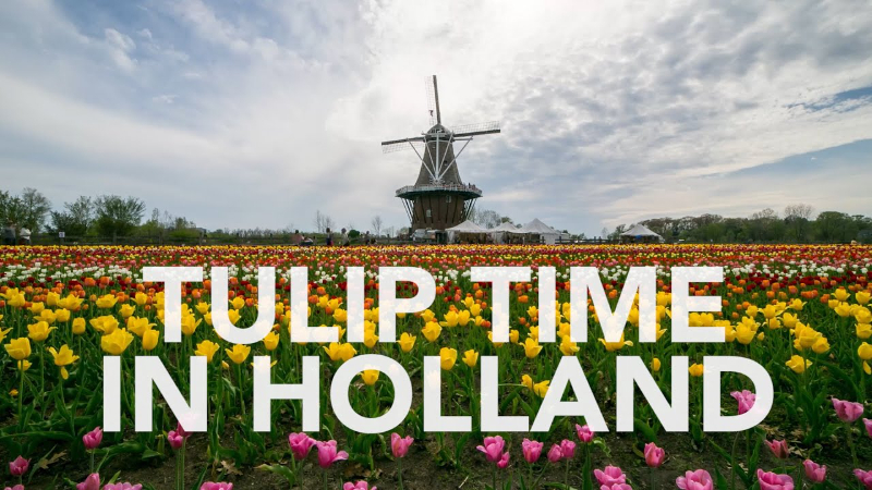 Festival dei tulipani — Holland