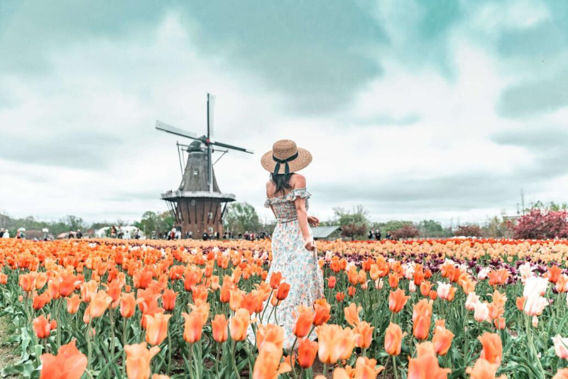 Festival dei tulipani - Holland | Secret World Trip Planner
