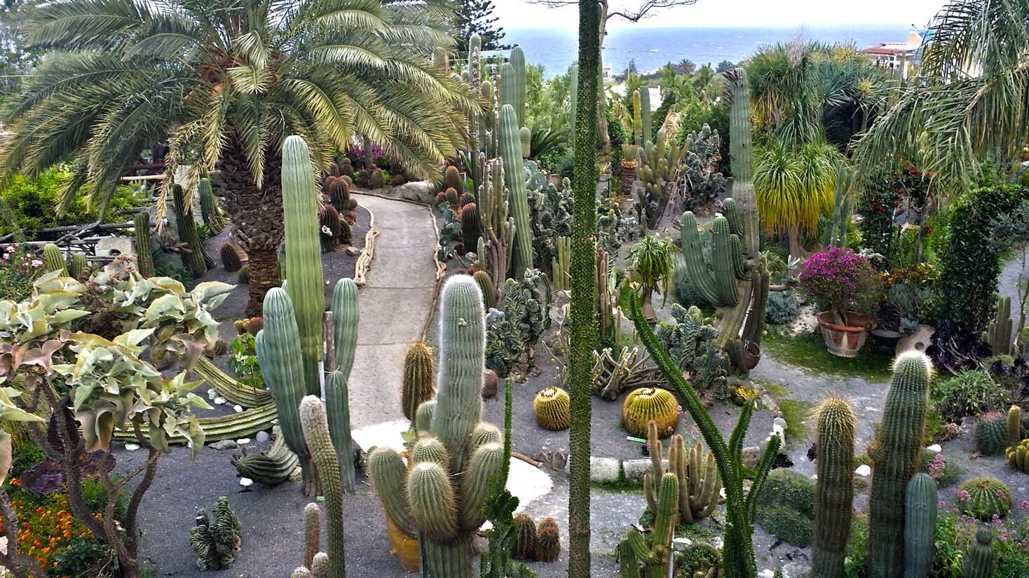 Ravino: the largest succulent plant park in Europe — Forio