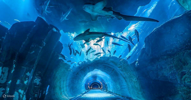 Sea Life Bangkok Ocean World - Khet Pathum Wan | Secret World Trip Planner