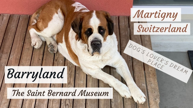 Barryland, the St. Bernard dog museum — Martigny