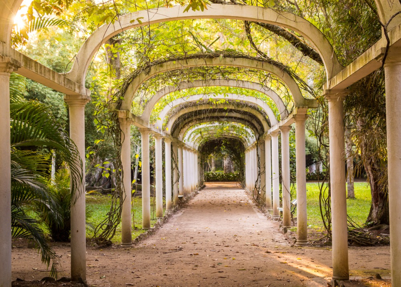 Jardim Botanico, Rio de Janeiro — Jardim Botânico