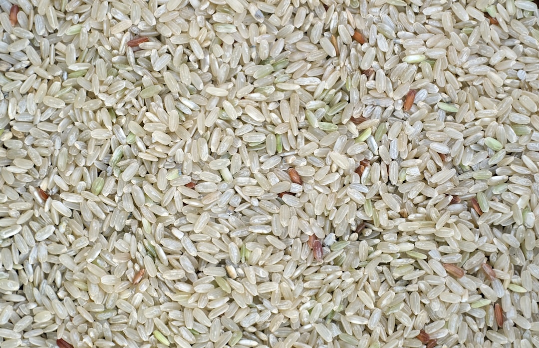 Baraggia Biellese and Vercellese PDO rice - Vercelli | Secret World Trip Planner
