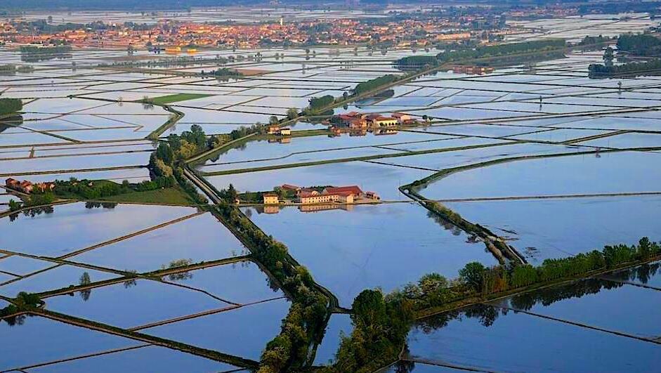 Vercelli and the historical rice - Vercelli | Secret World Trip Planner