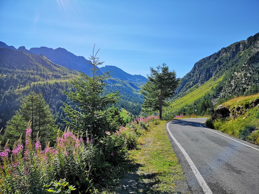 Piedmont: Flours from the Vermenagna Valley - Valle Vermenagna | Secret World Trip Planner