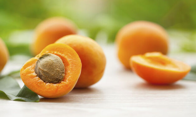 The Round Apricot of Costigliole - Busca | Secret World Trip Planner