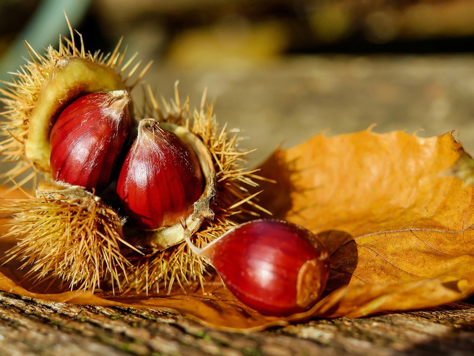 Pellice Valley and chestnuts - Val Pellice | Secret World Trip Planner