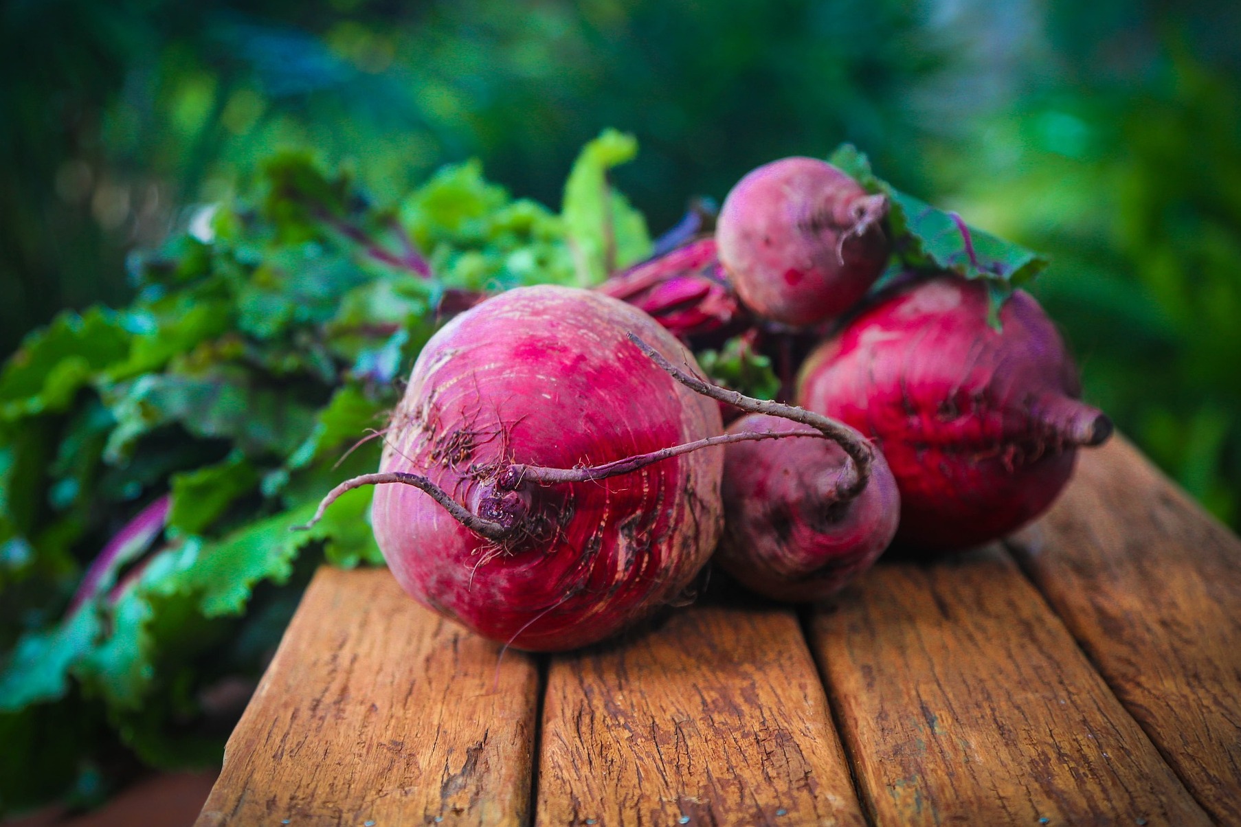 The red chard of Castellazzo Bormida - Castellazzo Bormida | Secret World Trip Planner
