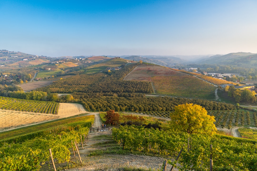 Piedmont Genepi - Piemonte | Secret World Trip Planner