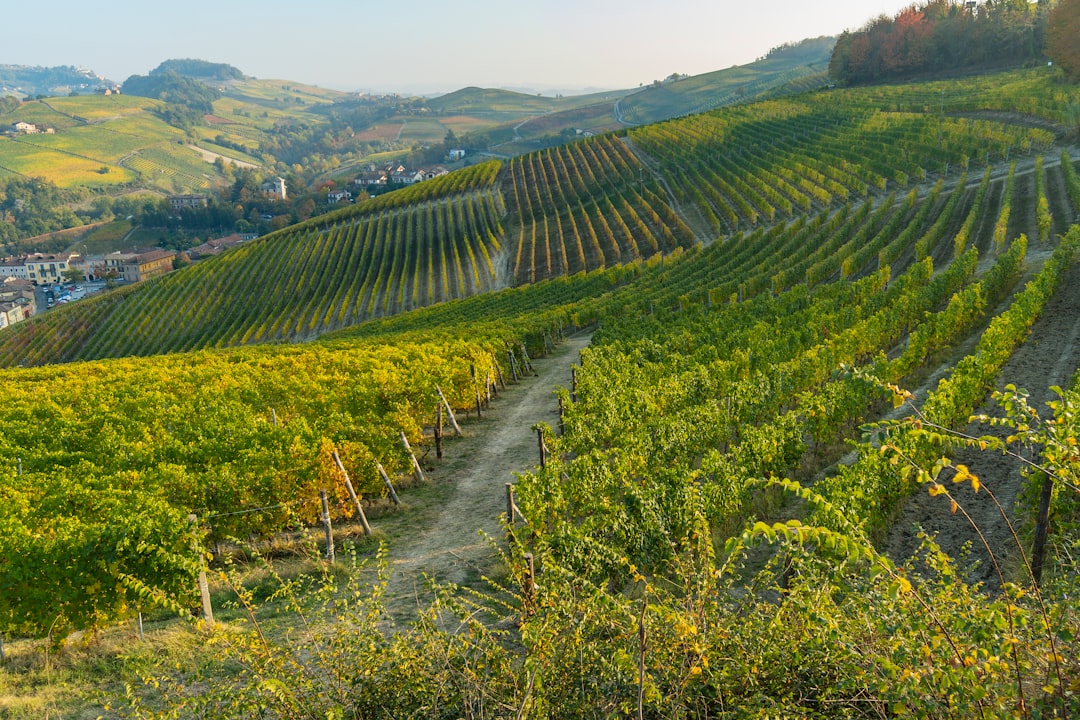 Piedmont Genepi - Piemonte | Secret World Trip Planner