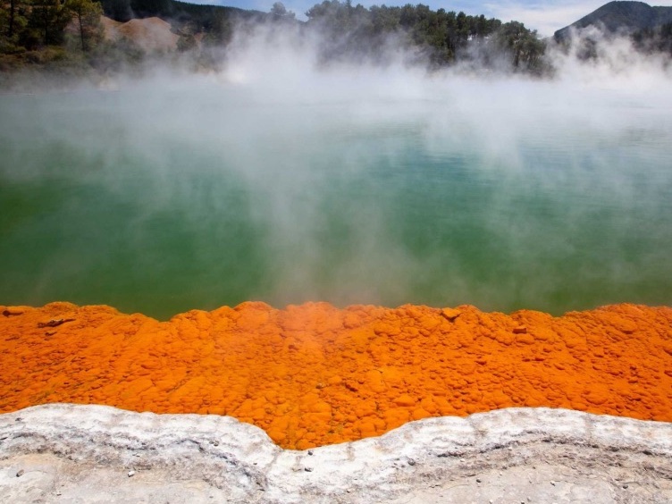 Rotorua Hot springs New Zealand — Terume Hot Spring Resort