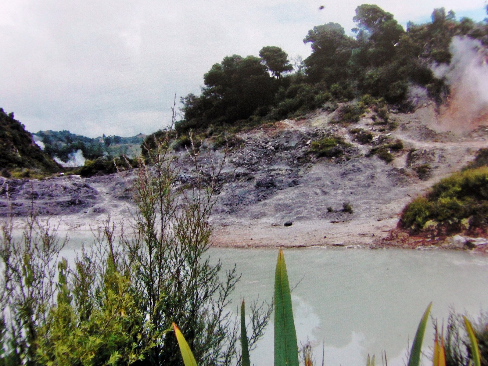 Rotorua Hot springs New Zealand - Terume Hot Spring Resort | Secret World Trip Planner