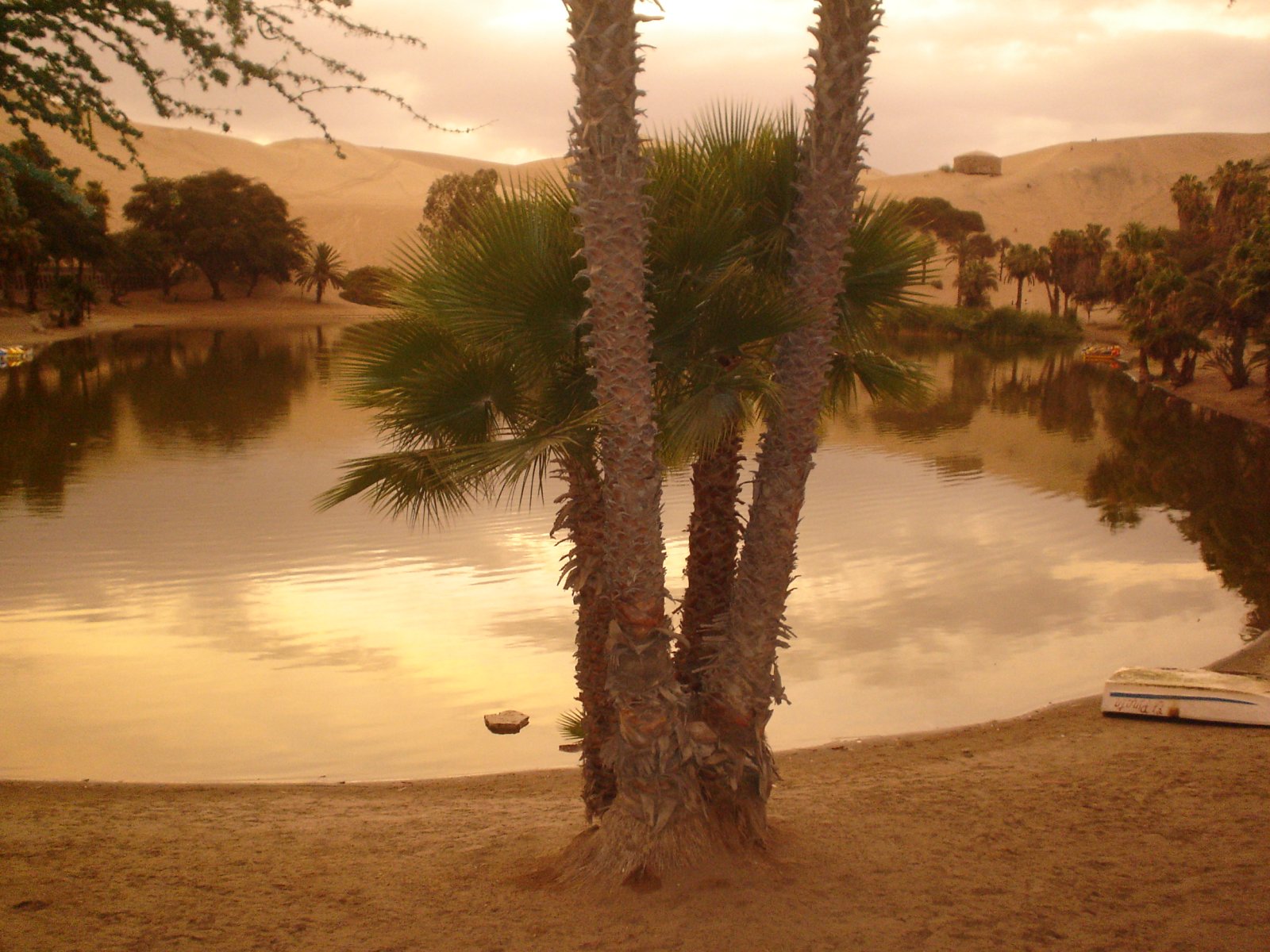 Hideaway in einer kleinen Oase umgeben von Dünen in Huacachina, Peru
Im Südwesten - Huacachina | Secret World Trip Planner
