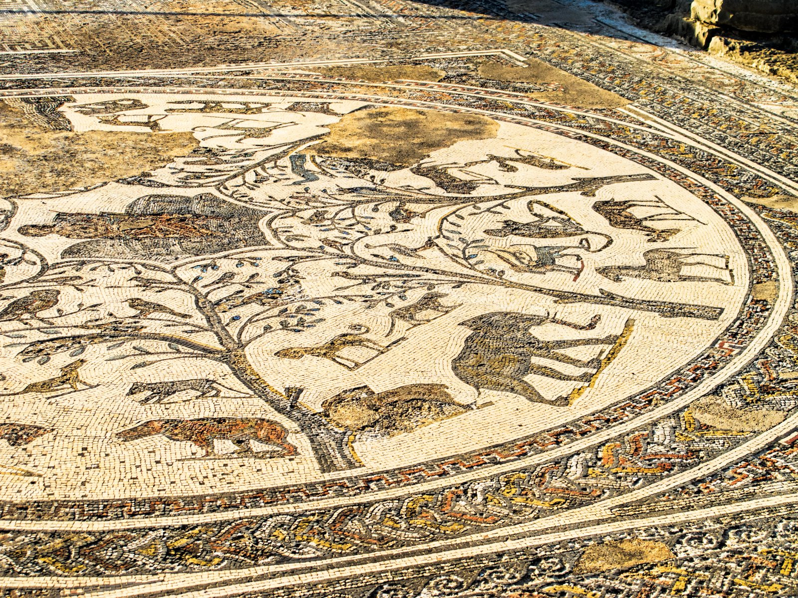 Ruins of Volubilis, Morocco - Conservation du site Archeologique de Volubilis | Secret World Trip Planner